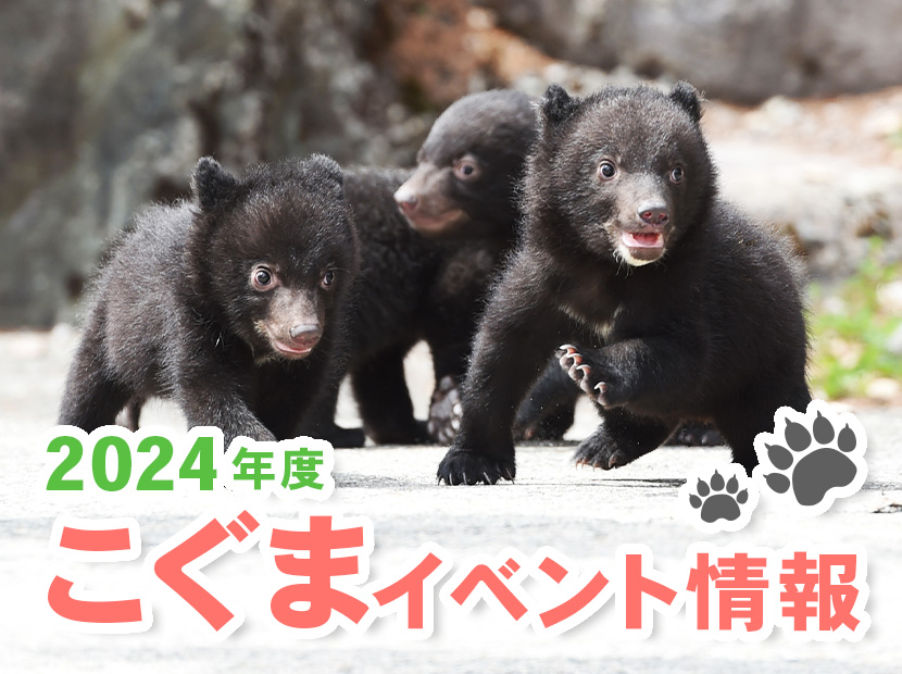 2024年度こぐまイベント情報 - 奥飛騨 クマ牧場
