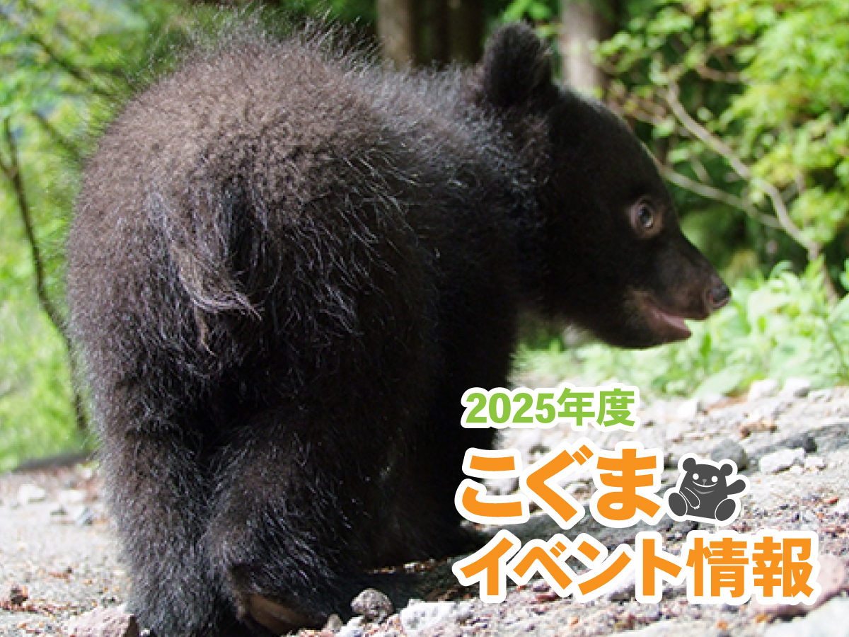 (未使用･未開封品)　クマ牧場 日本語版 6k88evb のぼりべつクマ牧場 - Wikipedia